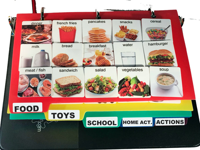 New Large Laminate or Plastic Real Life Communication Book
