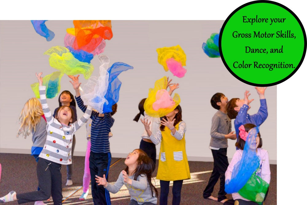 12 pc Colorful Juggling Dance Scarves