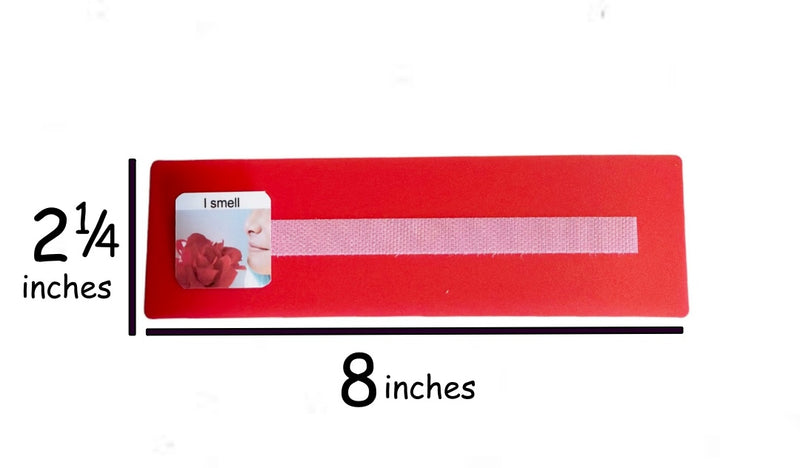 5 Small or Large Sentence Strips with 7 Colorful Sentence Starter Cards Perfect for Building 2-4 Word Sentences.