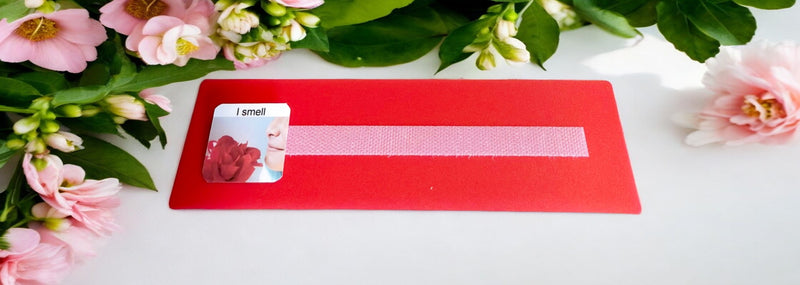 5 Small or Large Sentence Strips with 7 Colorful Sentence Starter Cards Perfect for Building 2-4 Word Sentences.