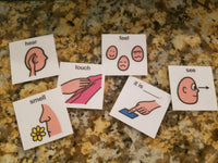 Laminate Cartoon Visual Communication Book
