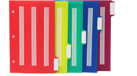 Lot de 5 intercalaires/onglets de couleur